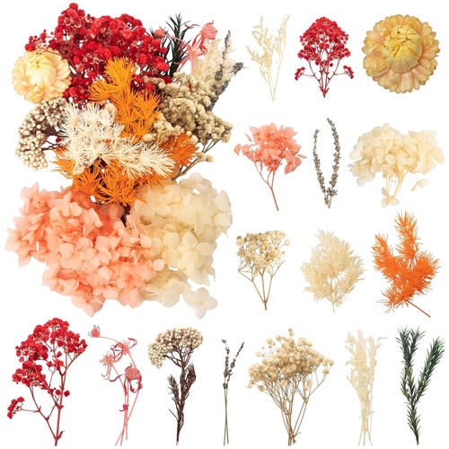 Trockenblumen getrocknete - trockenblumen,,