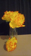 20 x Krepp Papier Blumen