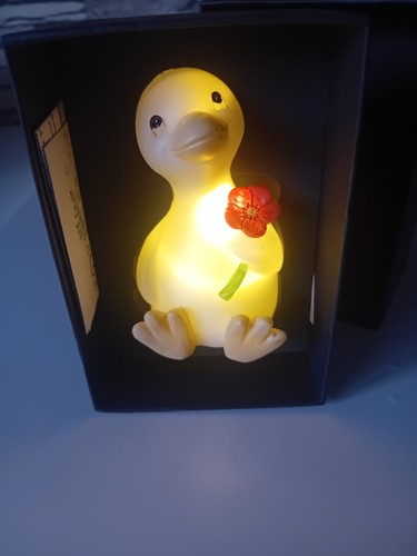 Led geschenkset gans - led-geschenkset,