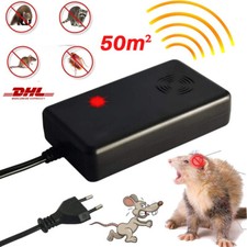 50m² Marderabwehr Dachboden