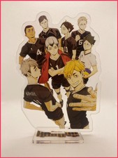 Haikyu!! Acryl-Stand - Team