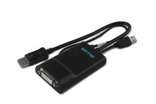 DELL BizLink ICES-003 DIsplayport DVI Adapter