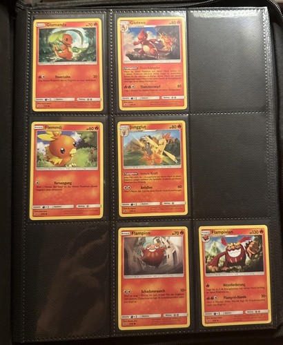 Pokémon majestät der drachen - der,