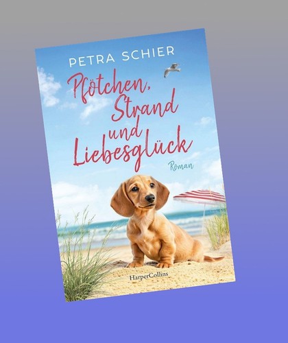 Pfötchen strand und - pfötchen,,