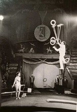 Zirkus Artisten Artistik