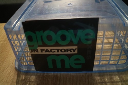 Groove fun factory - groove,