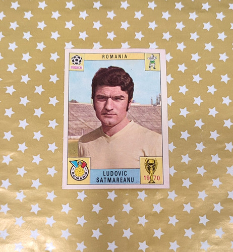 Album panini world cup card - cup,