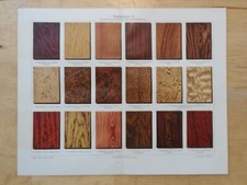 Genuine(1908) Chromolithograph