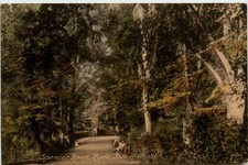 Isle of Wight - Spencer Road