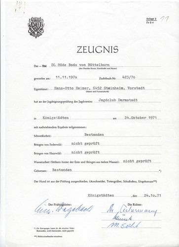 Hunde jagd ausbildung jep - hunde,,