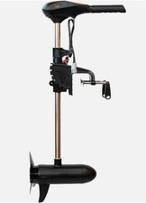 NEU !  Rhino Motors VX 55 V2