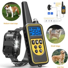 Erziehungshalsband Antibell