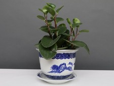 China Porzellan Blumentopf