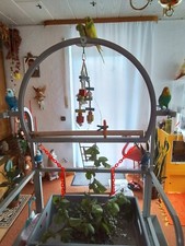 Montana case vogelfreisitz