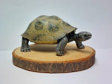 Schleich RIESENSCHILDKRÖTE - 14601 Sammlerstück  2008 TOP f. Konvolut