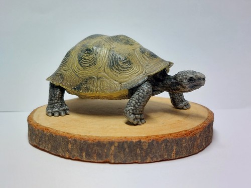 Schleich riesenschildkröte - riesenschildkrÖte,