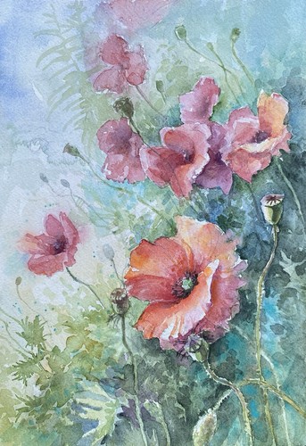 Original aquarell mohnblumen - original, aquarell,