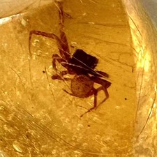 I5-2/3 - 30 MM OSTSEE