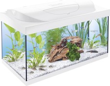 Tetra Starter Line 54 L Aquarium Weiß, Komplett-Set - inkl. Tag- & Nachtlicht
