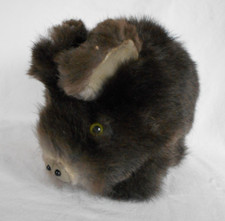 Wildschwein aus kaninchenfell - wildschwein,