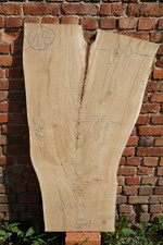 Baumscheibe Holzscheibe