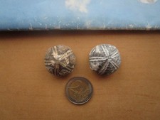 Zwei schöne versteinerte