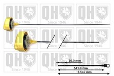 QUINTON HAZELL QOD146 Ölmessstab Ölpeilstab Ölstab für RENAULT MEGANE CC (EZ0/1)
