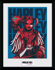 Birds Of Prey Harley Quinn