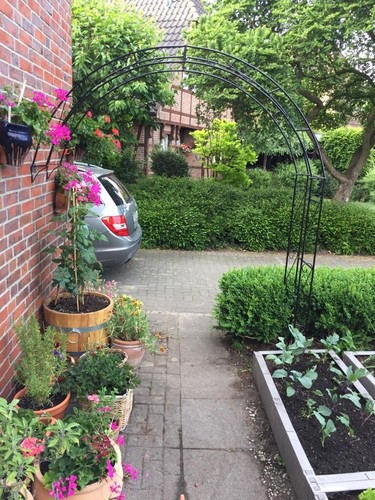 Wandrosenbogen holland rund - wandrosenbogen,