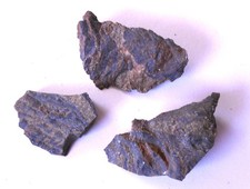 Lot Stromatolith Australien ? (X464) Schau Mal ! Kiste dazu ?