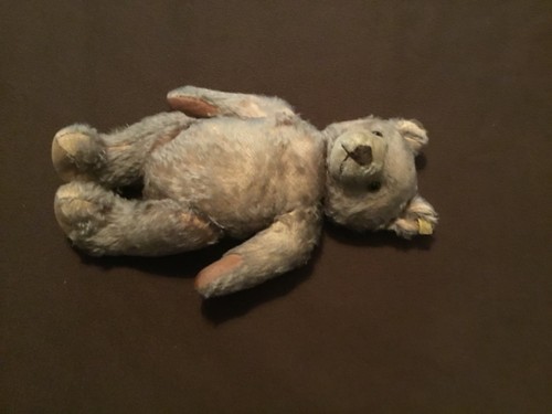 Steiff teddybär 50er - steiff, 50er,