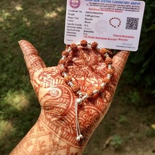 LAB CERTIFIED Natural 5 Mukhi