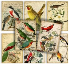 1 A4 Scrapbook Papier