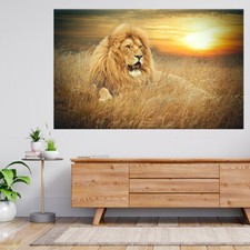 Bild Löwen im Gras 3D Ansicht