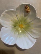 Müslischale Dessert-Schale Salat-Schüssel ligne princesse Blüte hell mit Biene