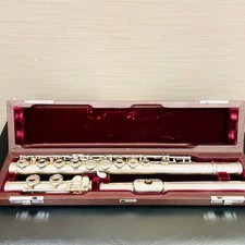 Muramatsu Standardmodell