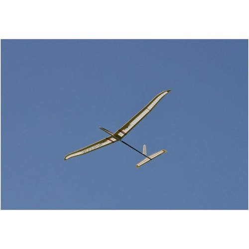 Bauplan aerodon - bauplan,