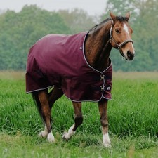 Regendecke pferde outdoordecke - pferde,