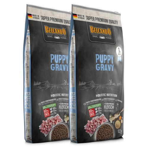 Kg belcando puppy - kg,
