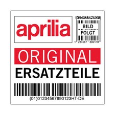 Endschalldämpfer Aprilia