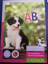 Welpen-ABC Junge Hunde positiv