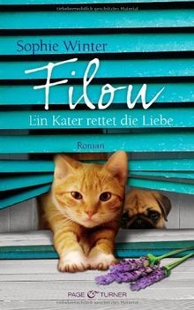 Filou ein kater - filou,
