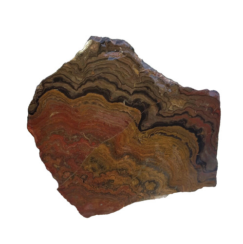83kg stromatolith rohstein - 0,83kg,