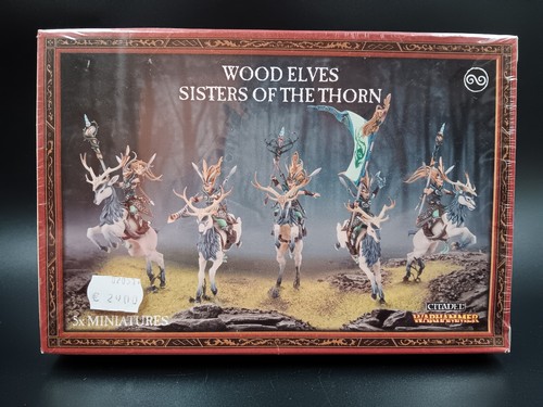 Sisters the thorn wood - sisters,