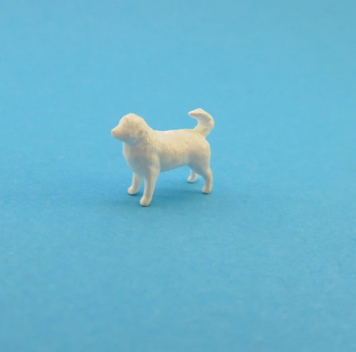 Berner sennenhund weiss - berner,