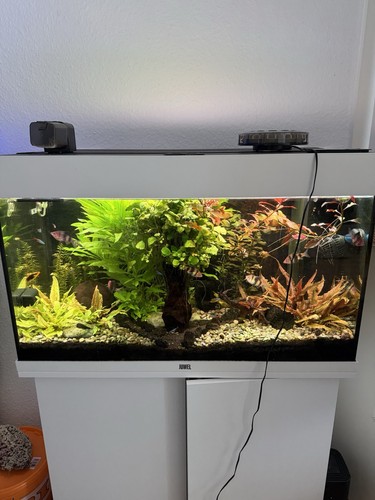 Juwel lido 125 mit kompletten - juwel,