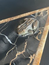 Antike Statue Kranich Frosch