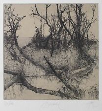 Walter Herzog Baumstrudel Ufer