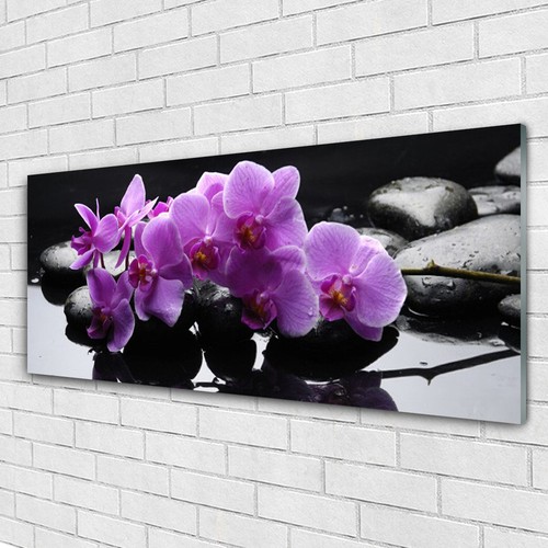 Glasbilder wandbild druck - glasbilder,