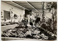 AK Erfurt Gartenbauausstellung 1961